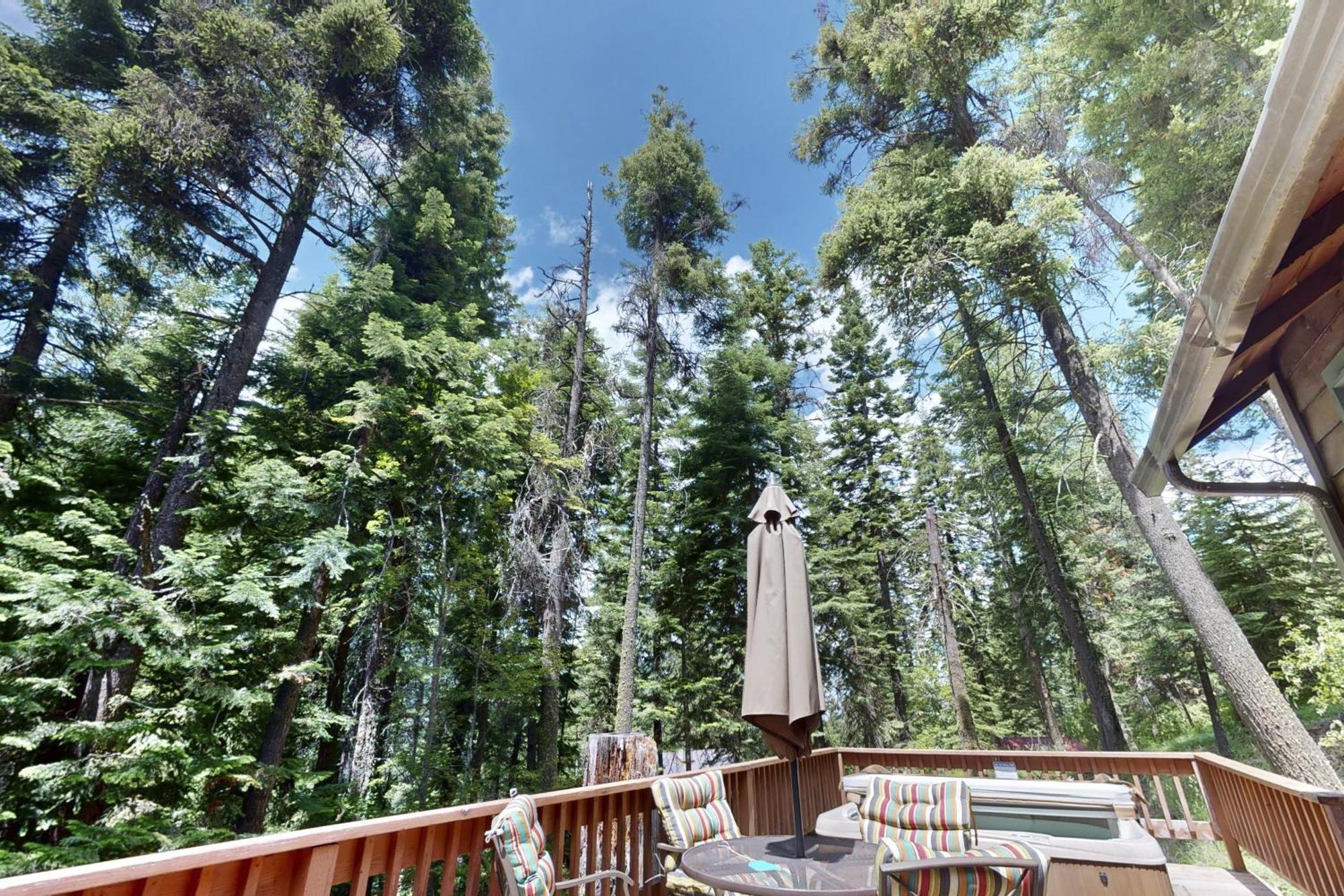 Pine Cone Cottage Joseph Экстерьер фото